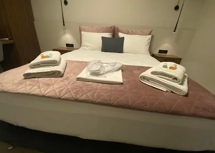 Animus Premium Hébergement de vacances *