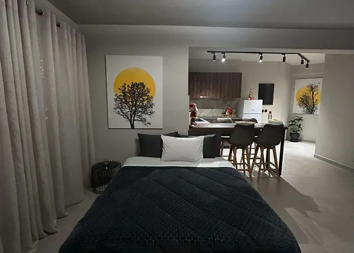 Hébergement de vacances Animus Premium